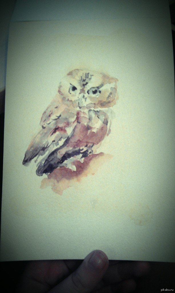 Совушка ^^