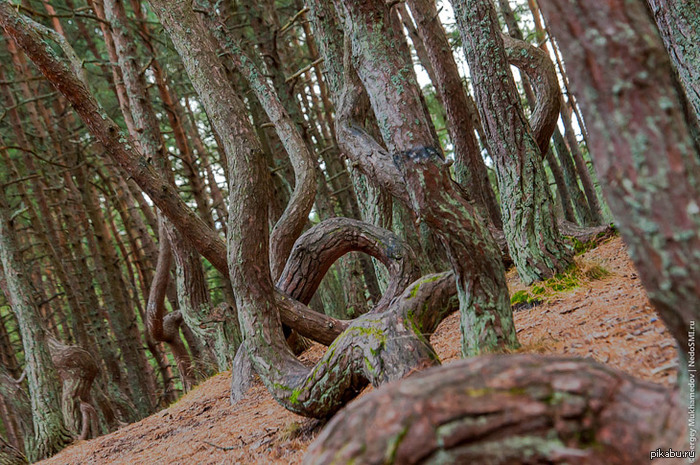 ��������� ���. ������� ����� ������������� ��������� �� ������. � ���������� � ������, � �����, ��� �� ������ � ������� ������.