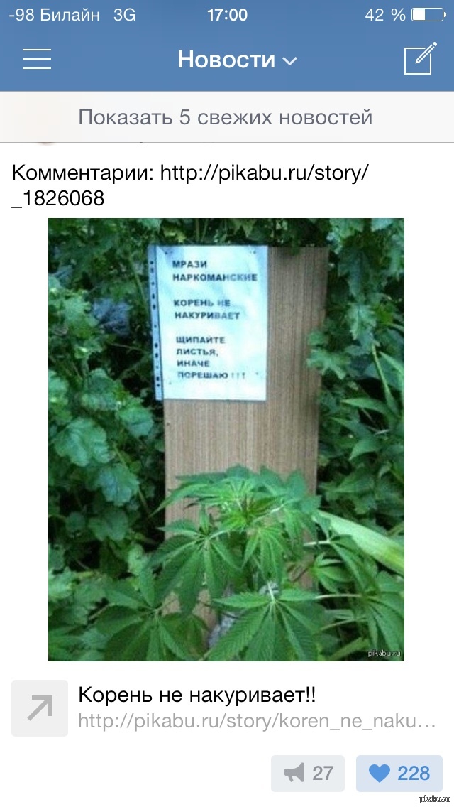 Количество лайков какбэ намекает