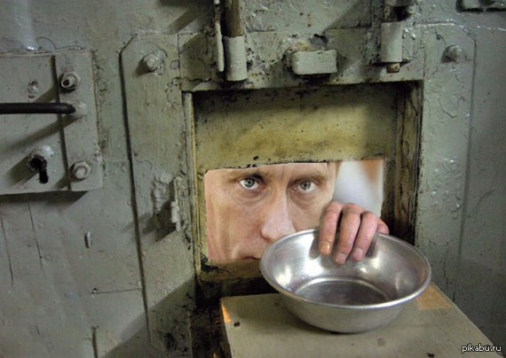 Фото Путина На Унитаз