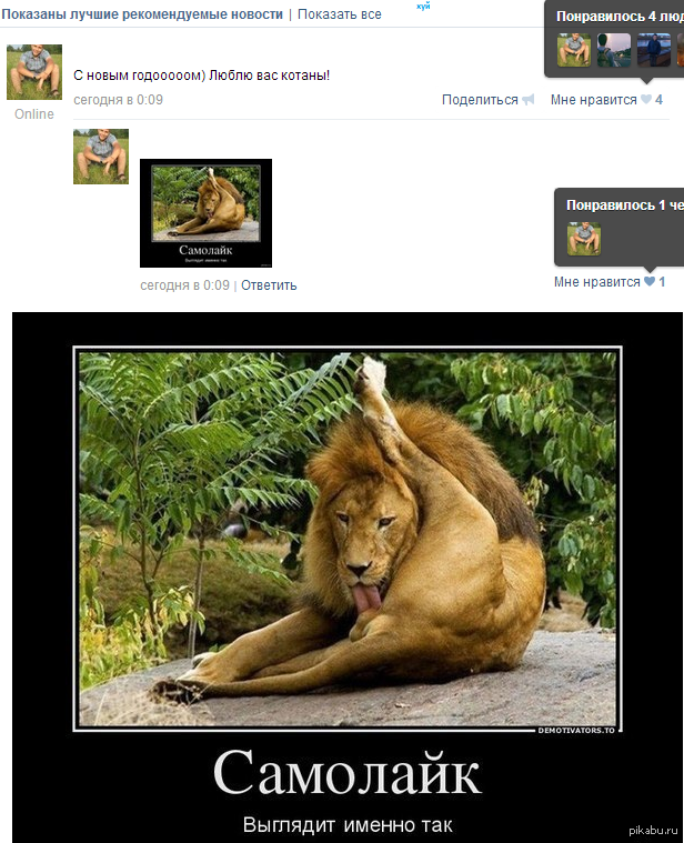Самолайк Залог Успеха