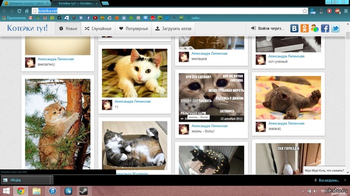 �� ������ ����� ������, �������