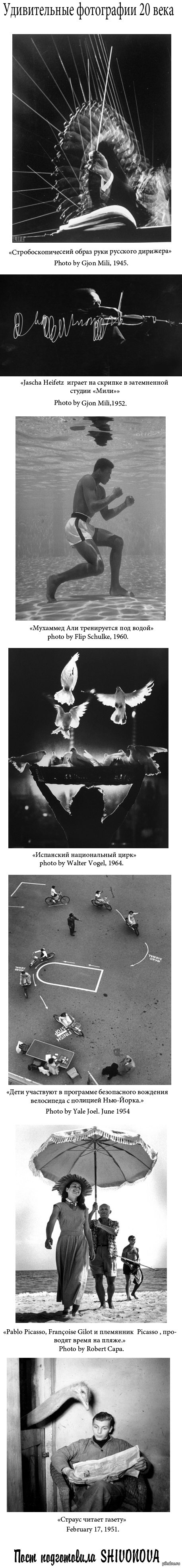 ������������ ���������� 20 ����.