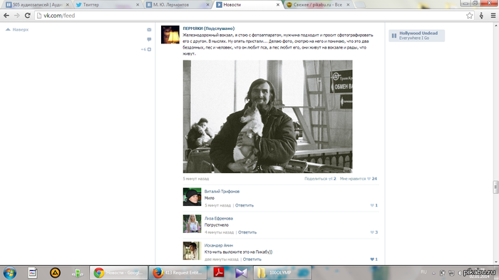 Пес и человек