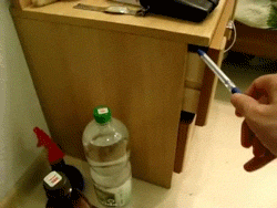 С таким котом нужно быть крайне осторожным...