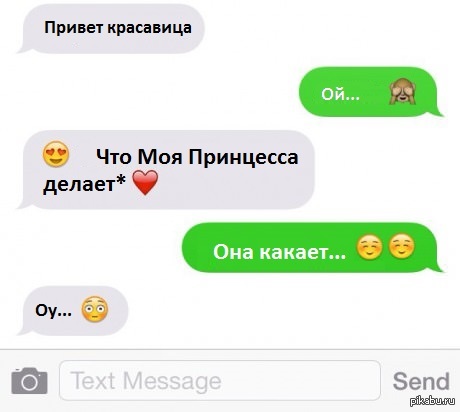 ����������...