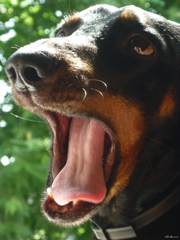 ��� ��� ����� ���������� �� ������..