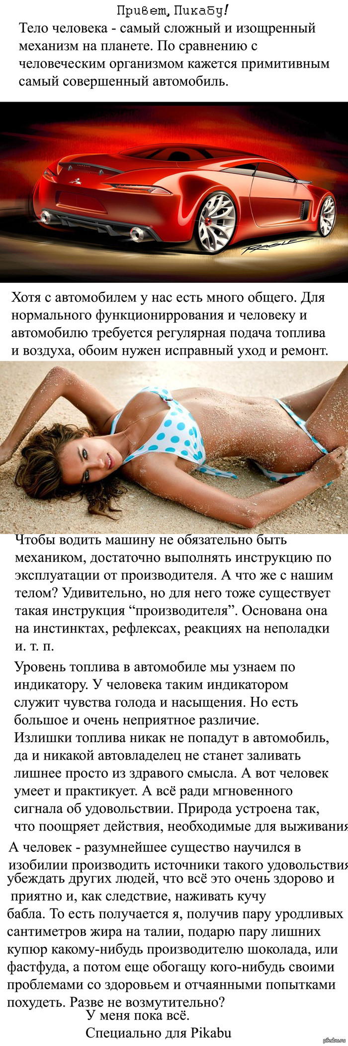 ������������ ��������