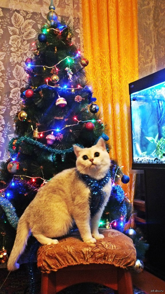 ���� ���������� ������!