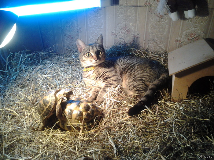 ��� � ��� �����?