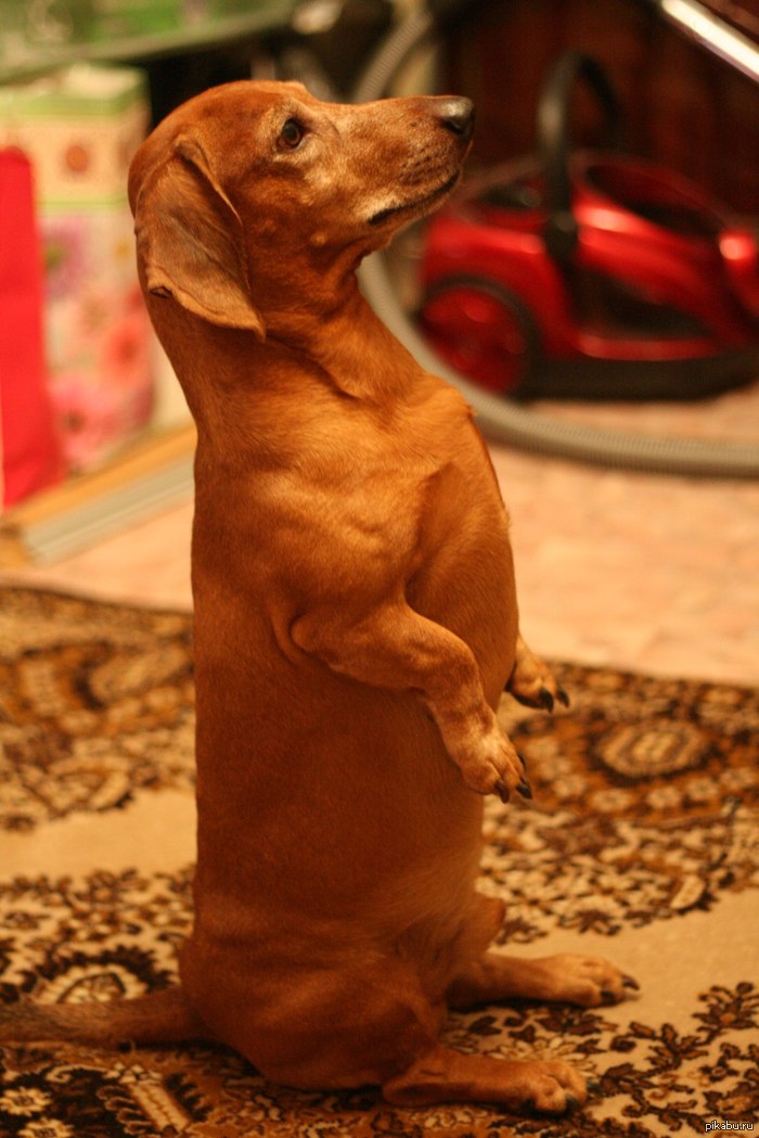 ������ ������� ���������� ������������ �.�.��