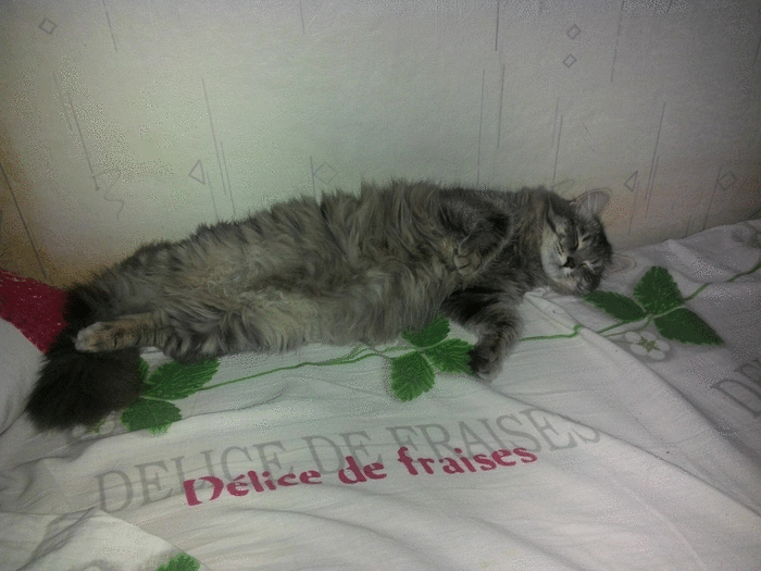 ������������ ����������� ��������  � ����� ���)