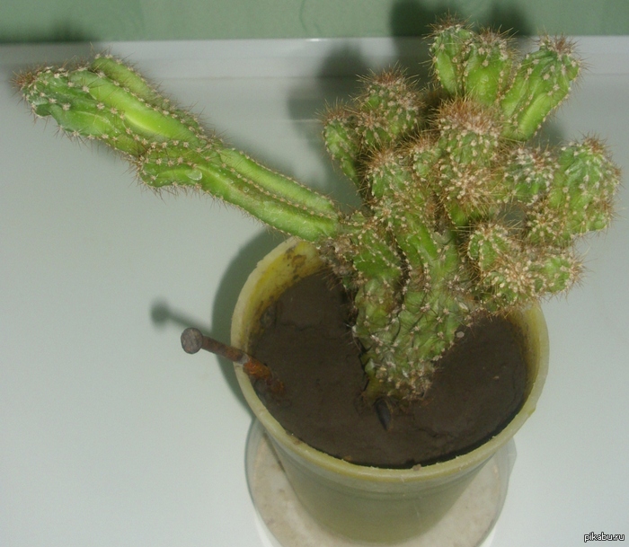 � ����� ������ �� ������ ���������� ������ ������ ����� ������ ��� ���������� ������ ������� �����, � ������� ����� ��������� ��� ��...