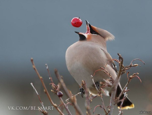 Просто удачный кадр