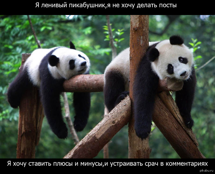 �� �������� ��