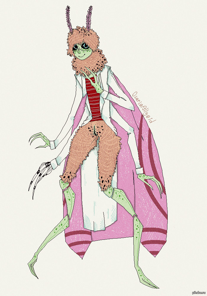 Антропоморфный мотылёк