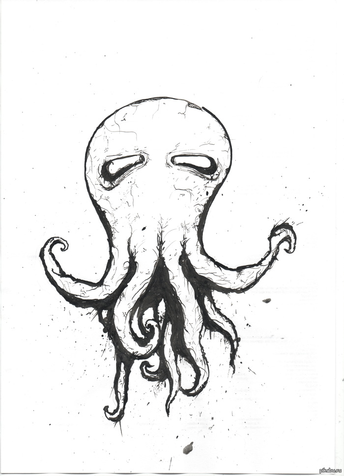 Octopus, .    .