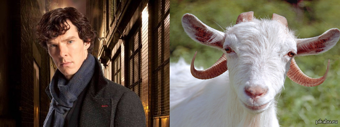 Идите нах*й с этим уёб*щем.