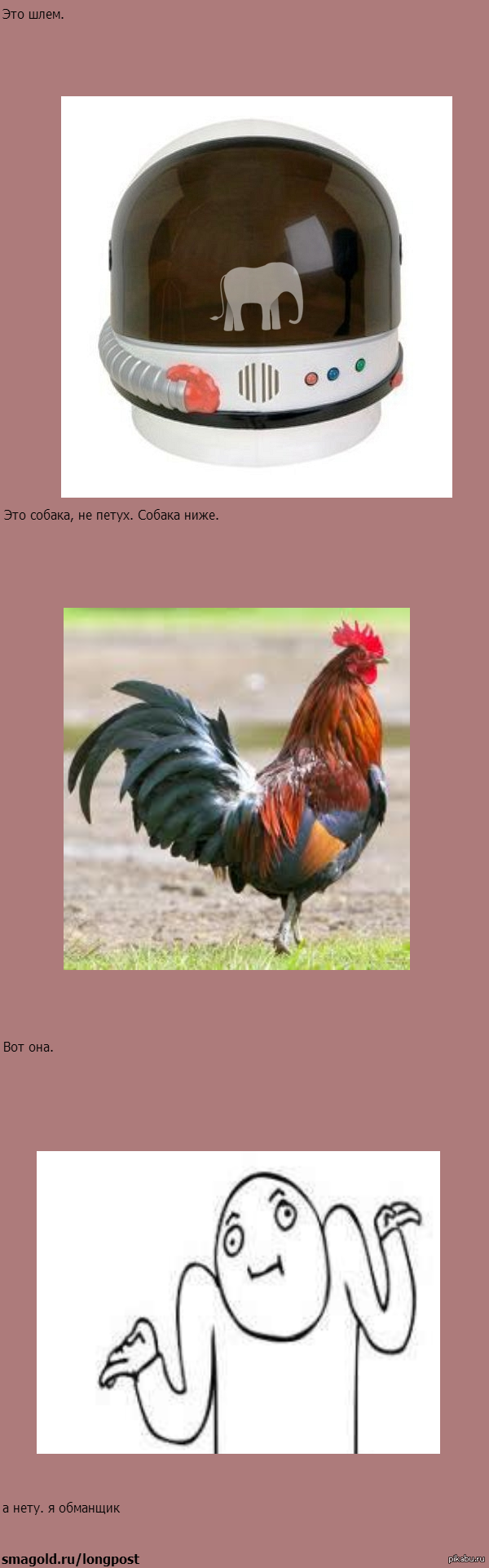 Так и живем.