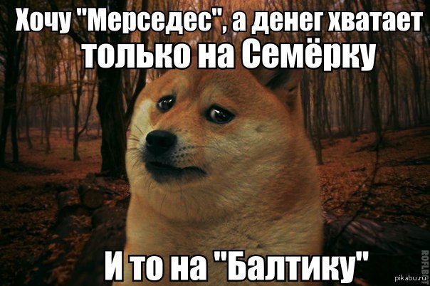 ��������)