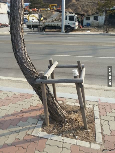 This tree gets it.