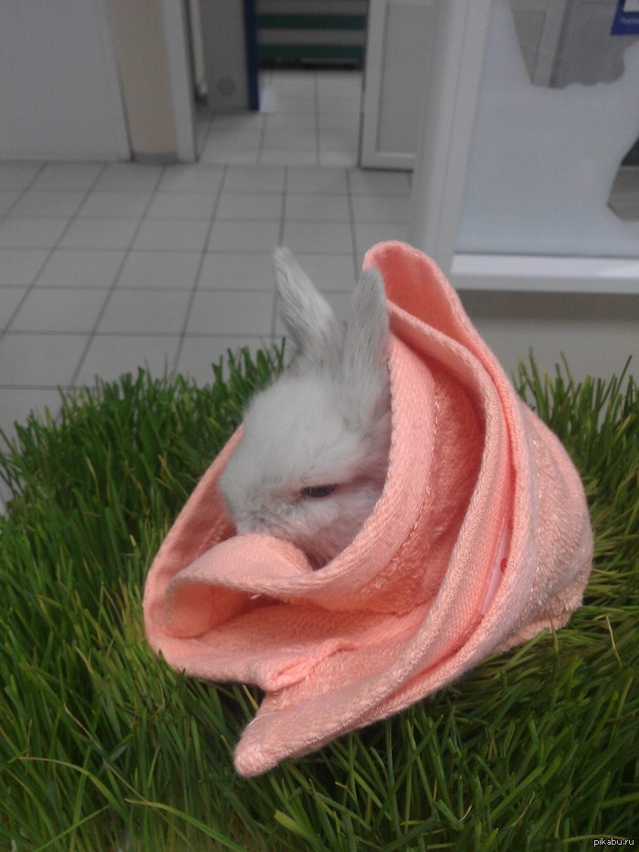 �� �� ��� ������. ����� ����������.