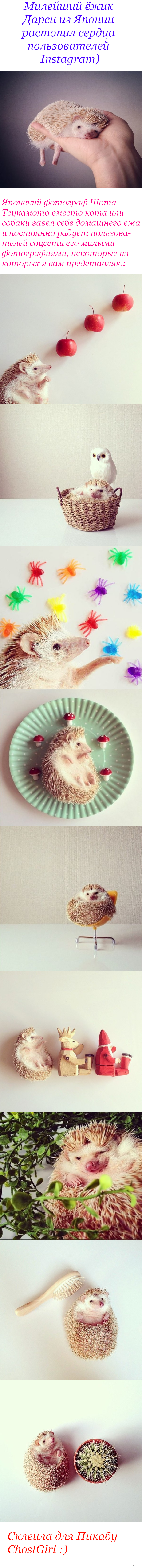 �������������� ������)