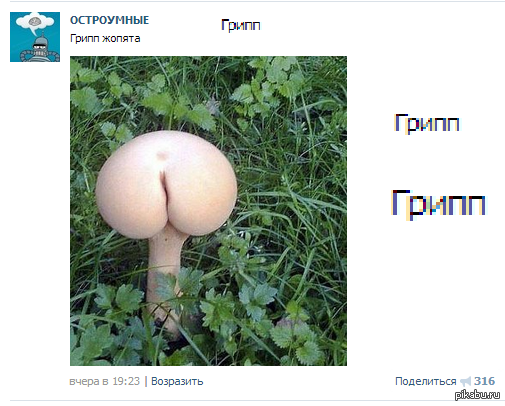 �� ���� ������ � ������)