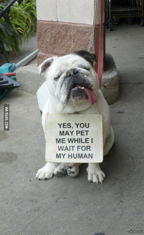 �� �� ������ ��������/��������� ���� ���� � ��� ����� ��������