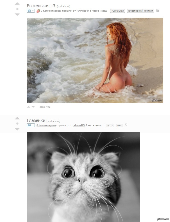 Coincidence? - NSFW, cat, Nyasha, Coincidence