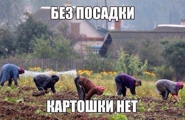 НАБУ оголосило підозри у справі "Роттердам+" шістьом особам, зокрема ексглаві НКРЕКП Вовку - Цензор.НЕТ 3139