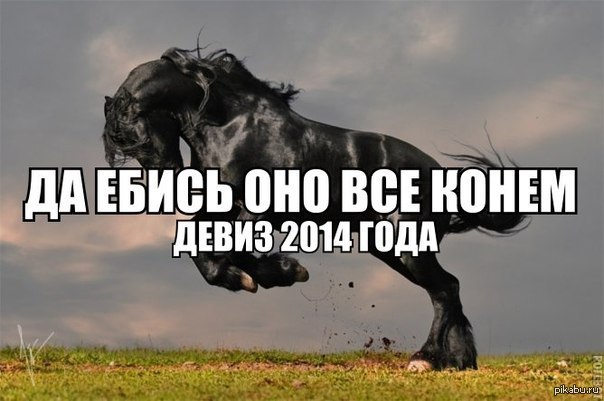 Девиз года | Пикабу