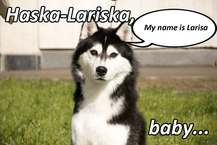    )  : <a href="http://pikabu.ru/story/alavisto_1836015">http://pikabu.ru/story/_1836015</a>