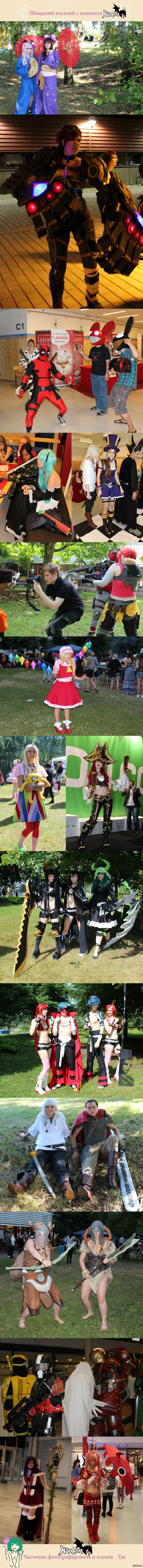 Narcon:2013-2014          )