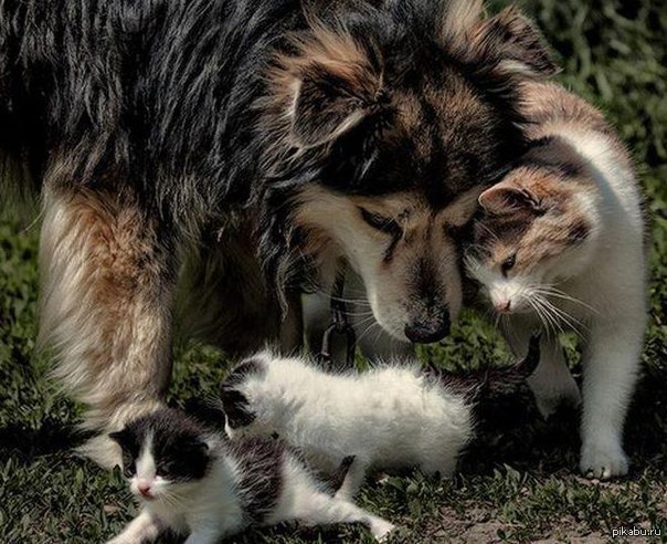 Просто счастливая семья, листай ленту дальше...