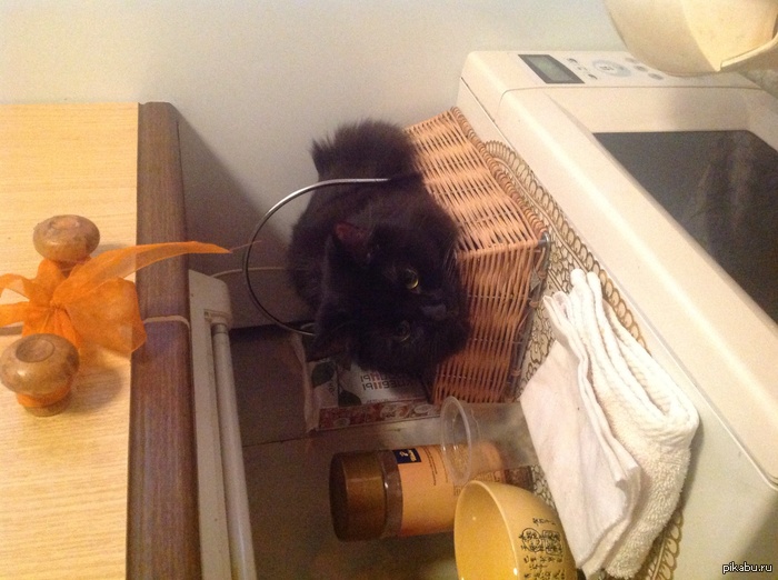 Чего надо? Видишь королева на троне!!