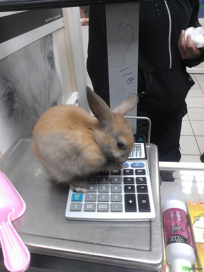 �� �� ��� ������. ��������� "�����"