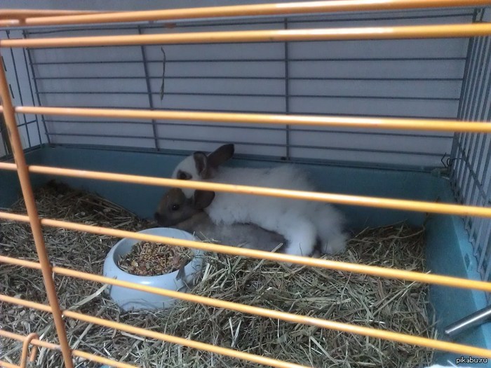 �� �� ��� ������.�������-������� � �������.