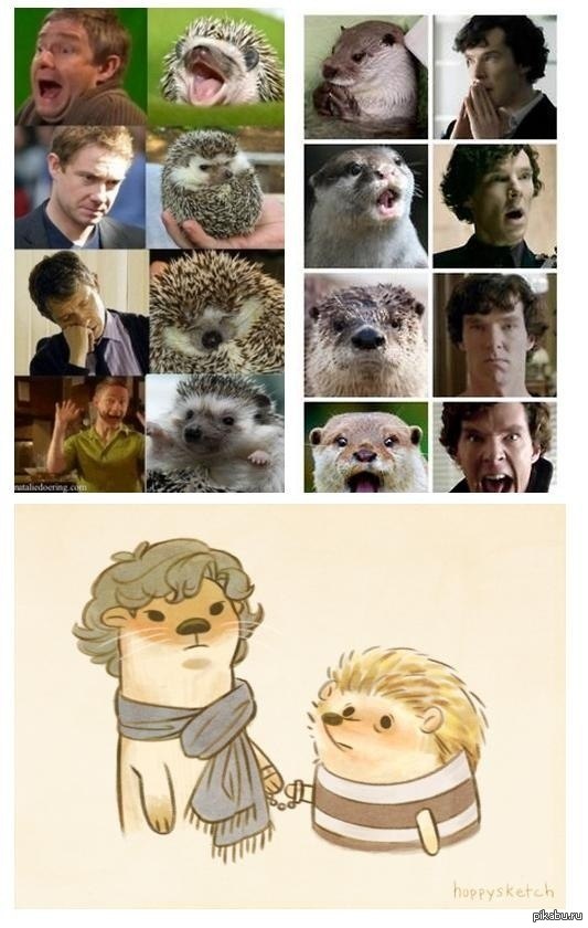 ���� �����!