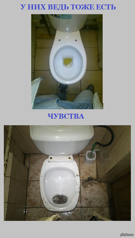 �������, � ��������!