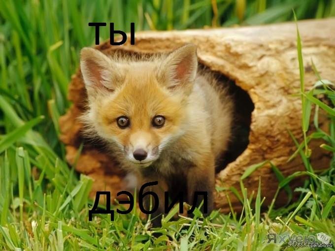 ��� �������, ��� ����� ����� ���