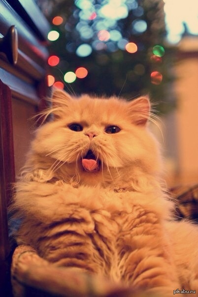 ������ ���������� ���� �� ������ ���� �����!  P.S. � ����� ���� ˸��.