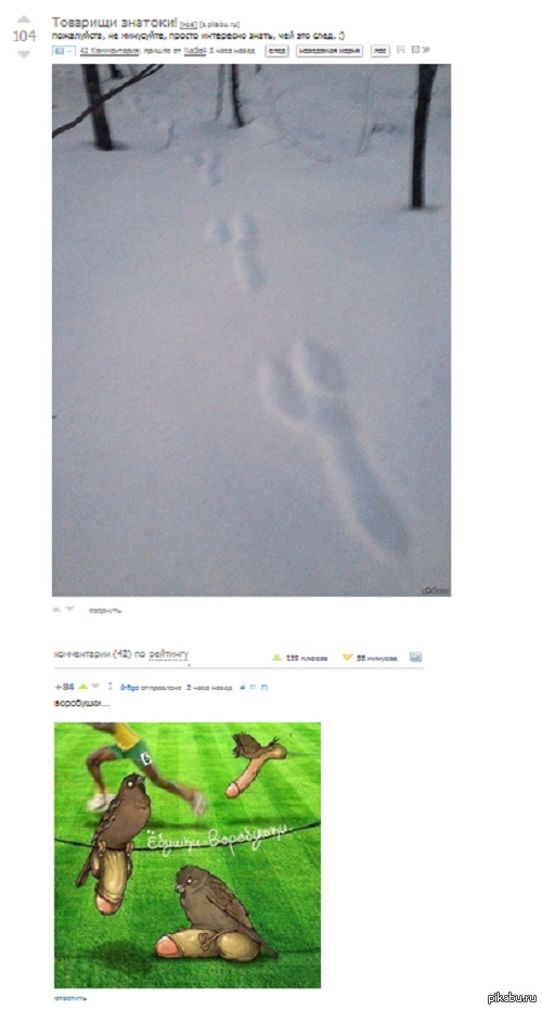 ������� � ����