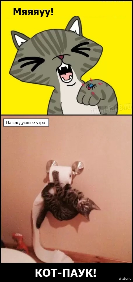 ���-����