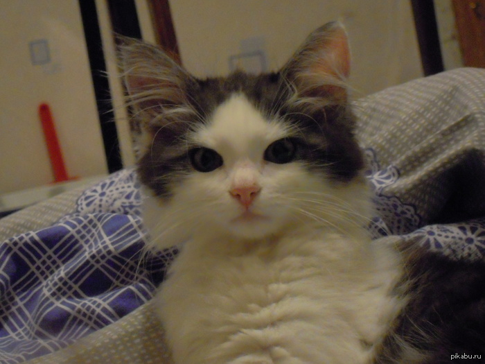 ����� ������