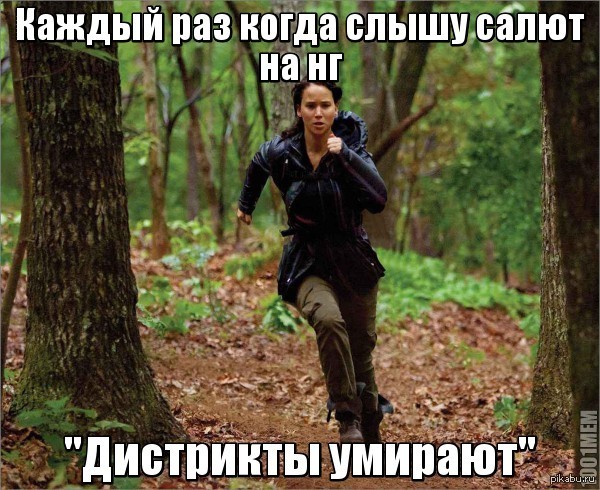 Katniss is angry - My, Katniss Everdeen, Death, New Year, Slopok