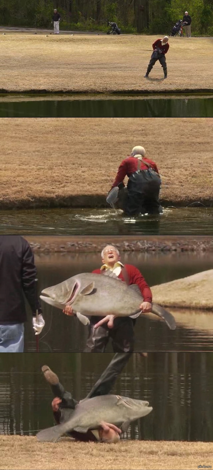 Большеносый карп