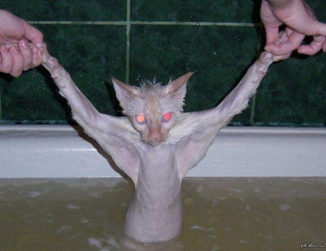 �� ���� � ������� ����