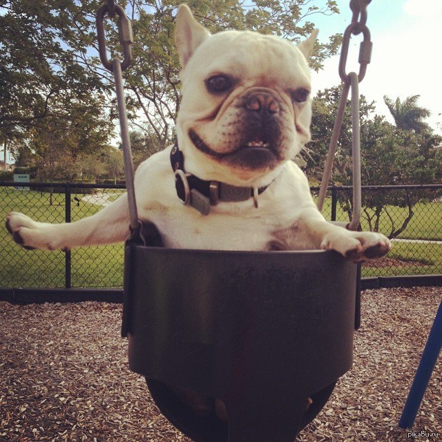 Я просто оставлю это здесь