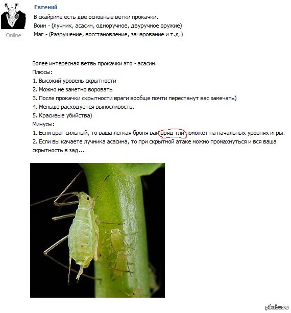 � ��� ���!